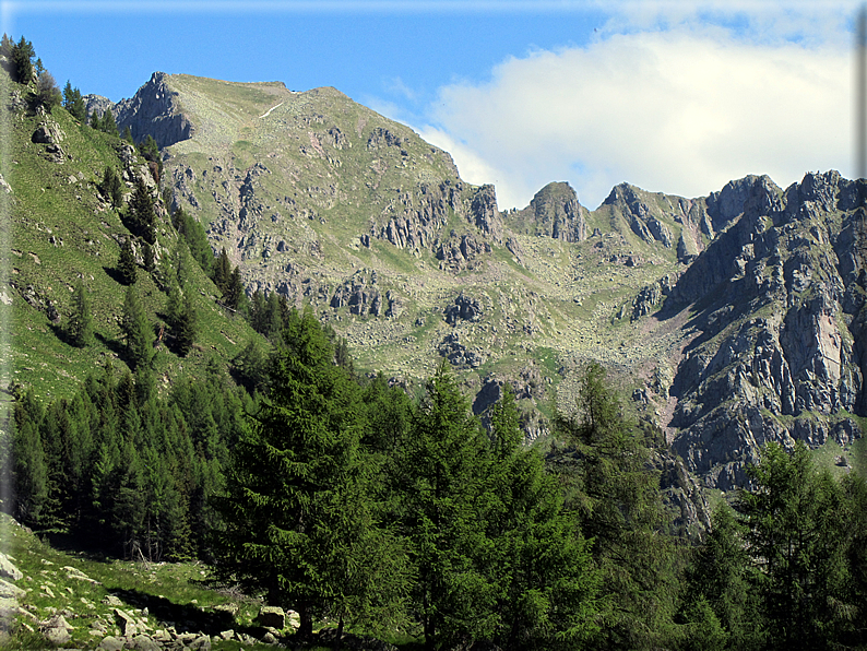 foto Malga Valsorda